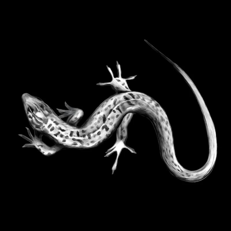 Gray Lizard Black and White Pattern