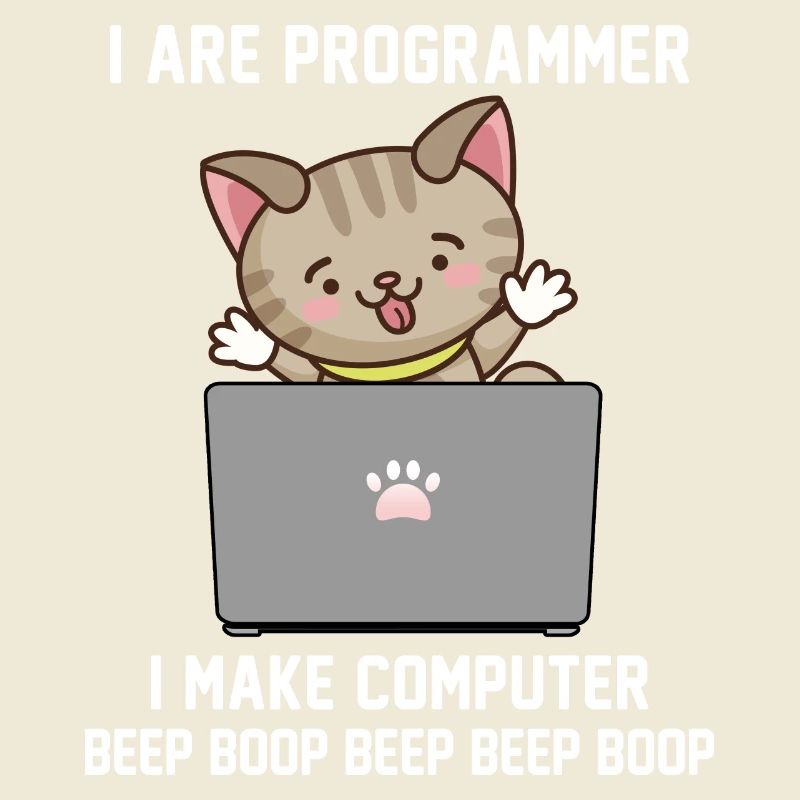 Programmierer
