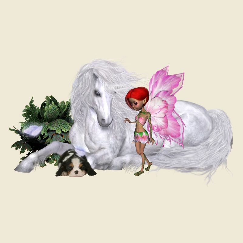 Merveilleuse licorne avec fée