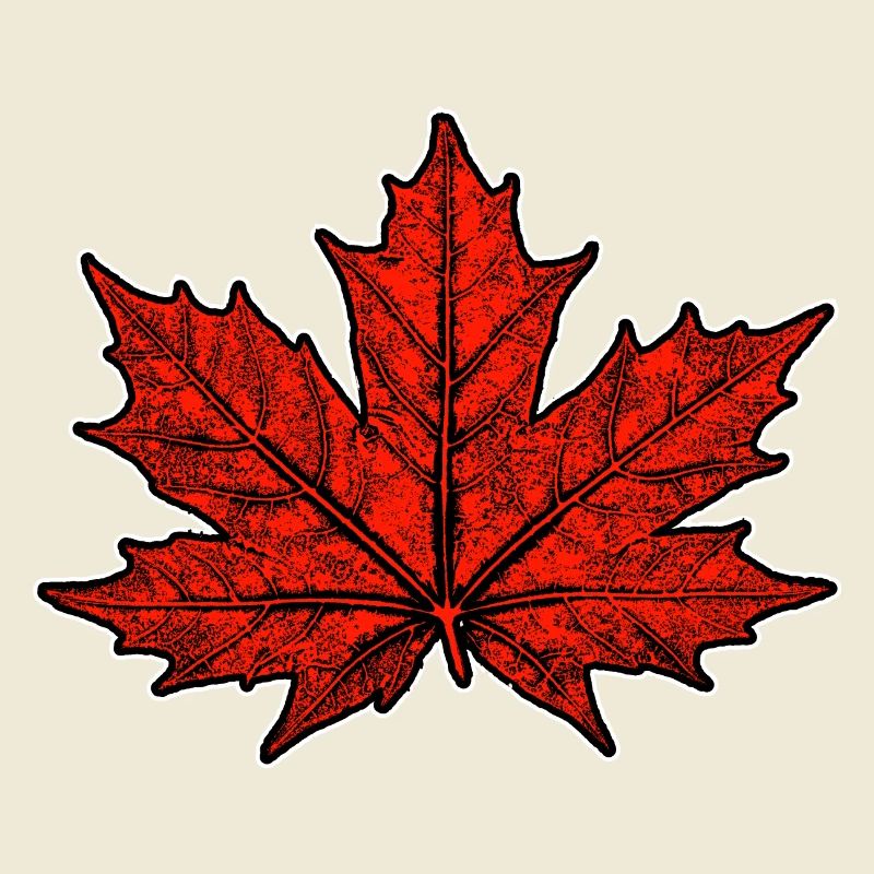Maple / Leaf