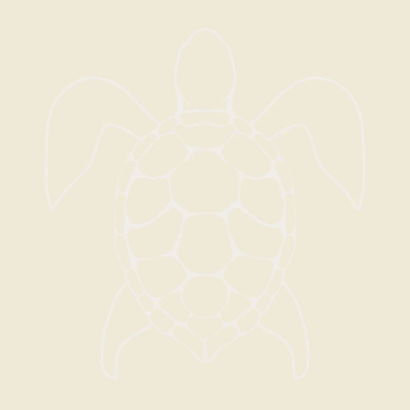 Turtle Lineart
