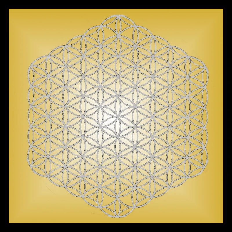 Blume des Lebens silber - 5. Dimension