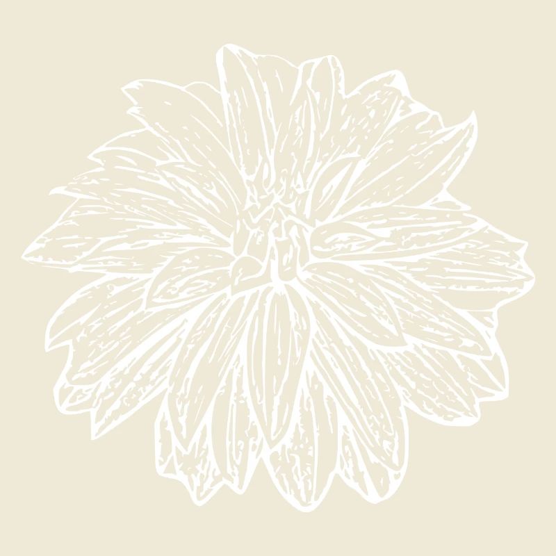 Fleur, Blanc, Fleur Blanche