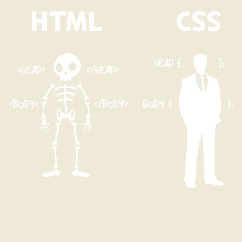 Code Css C++ Php Java Developer Code Scripting