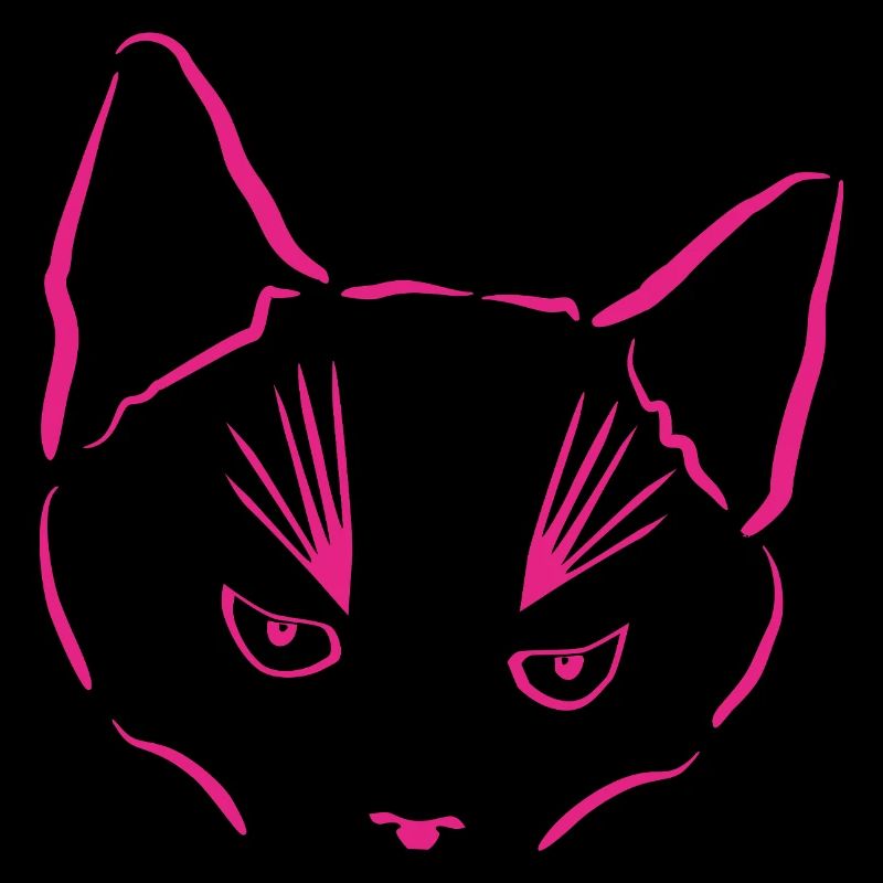 Le chat en point de mire