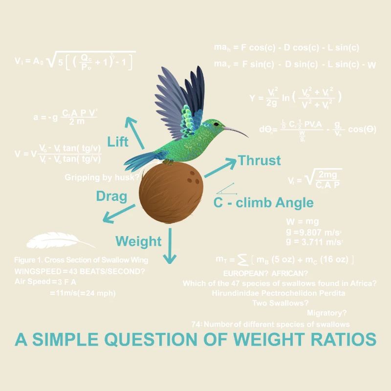 Question simple des rapports de poids