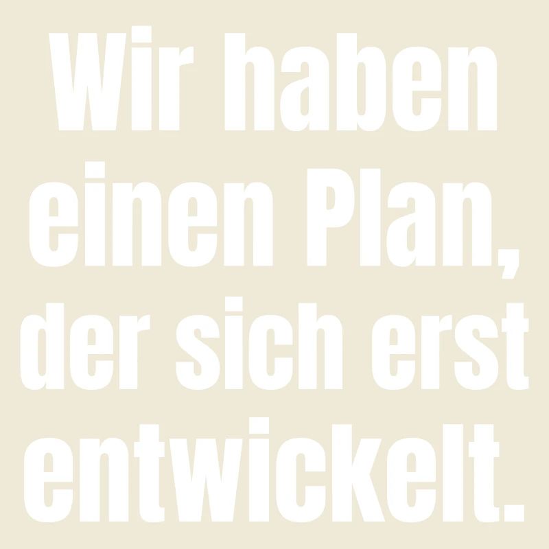 We have a plan that is only developing