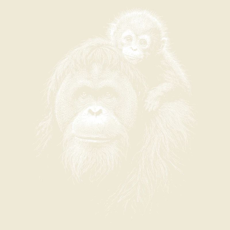 Orangutan Mutter mit Jungem Silhouette