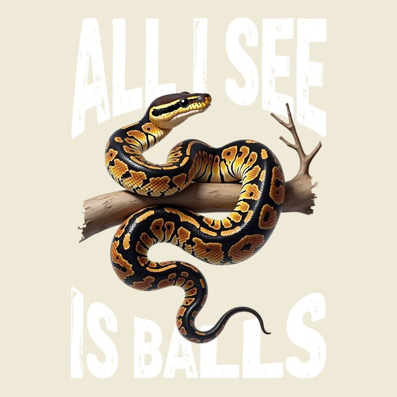 Python roi Serpents Amateurs de terrarium Python