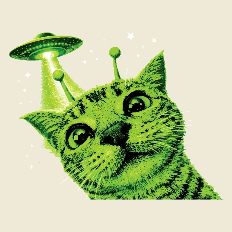 Alien Cat UFO