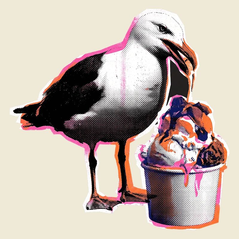 Möwe Isst Eis