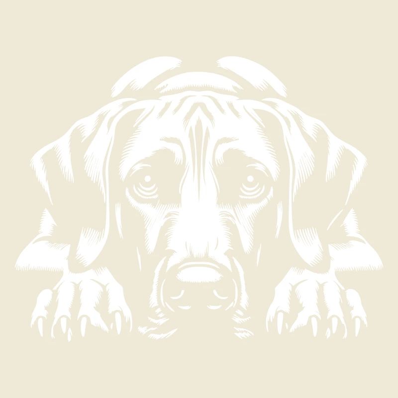Rhodesian Ridgeback « Édition Noire »