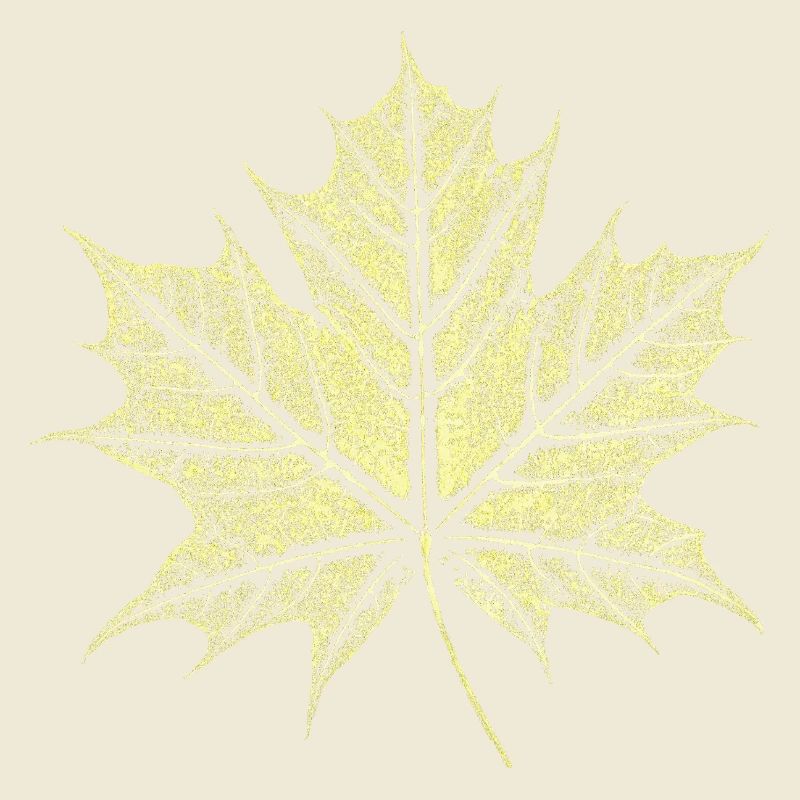 Maple Leaf / Botany - Natural