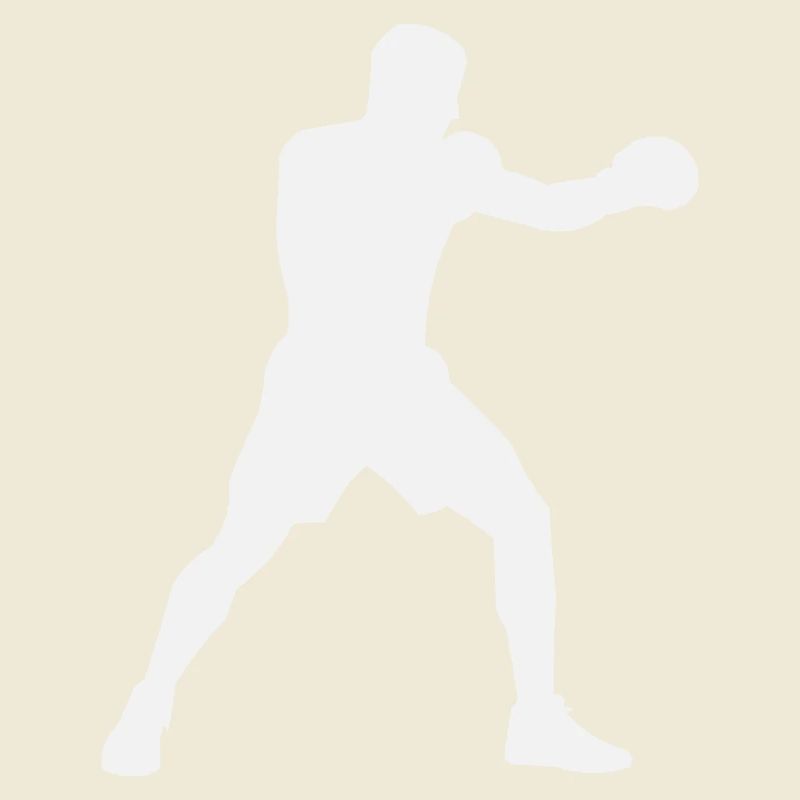 Boost de puissance de la Boxsilhouette