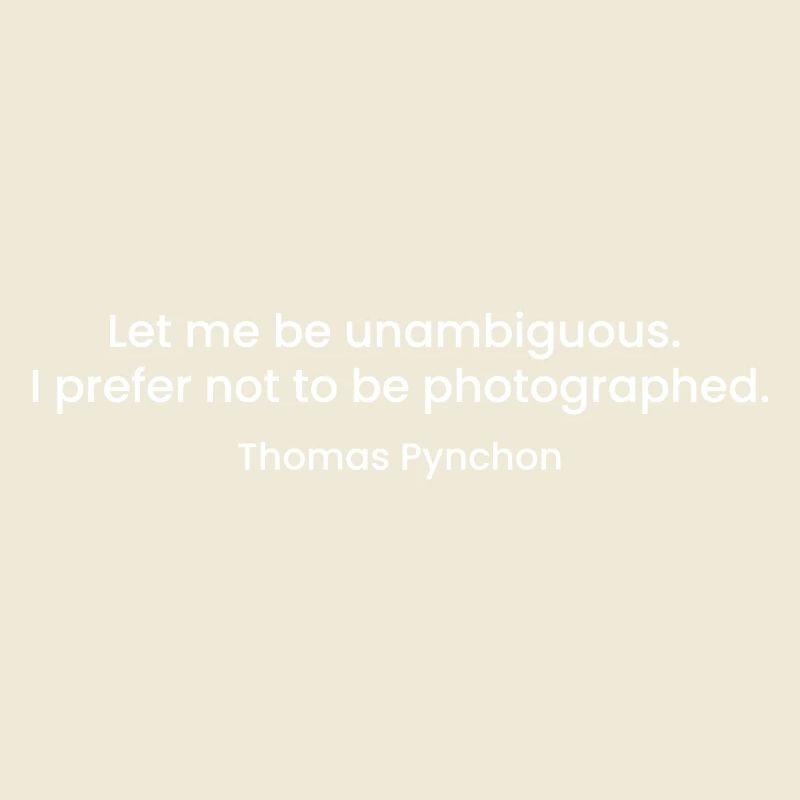 Citation de Thomas Pynchon