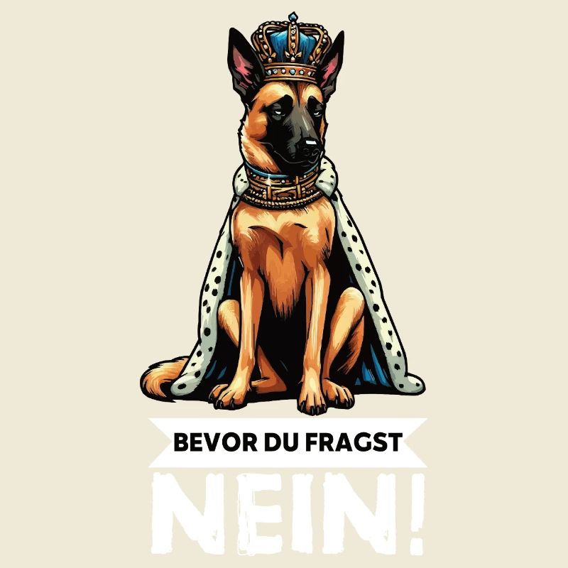 Before you ask: Malinois Belgian Shepherd