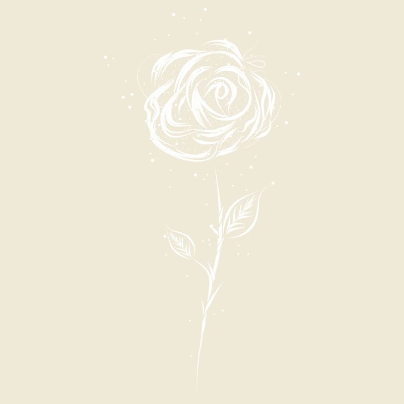 Dessin d'une rose blanche