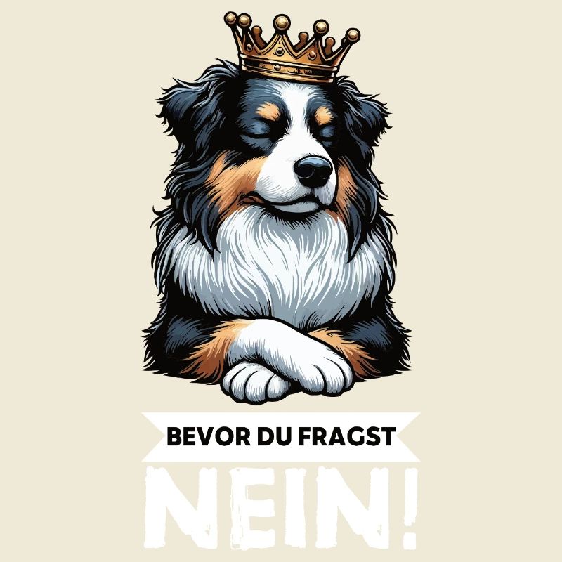Avant que vous ne demandiez : Berger australien Aussie Aussie