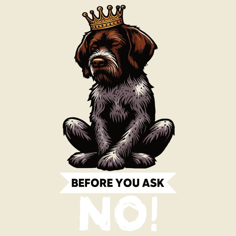 Before You Ask Deutsch Drahthaar Drahthaarhalter
