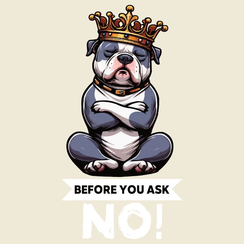 Before You Ask American Bully Bully Pit Bullys