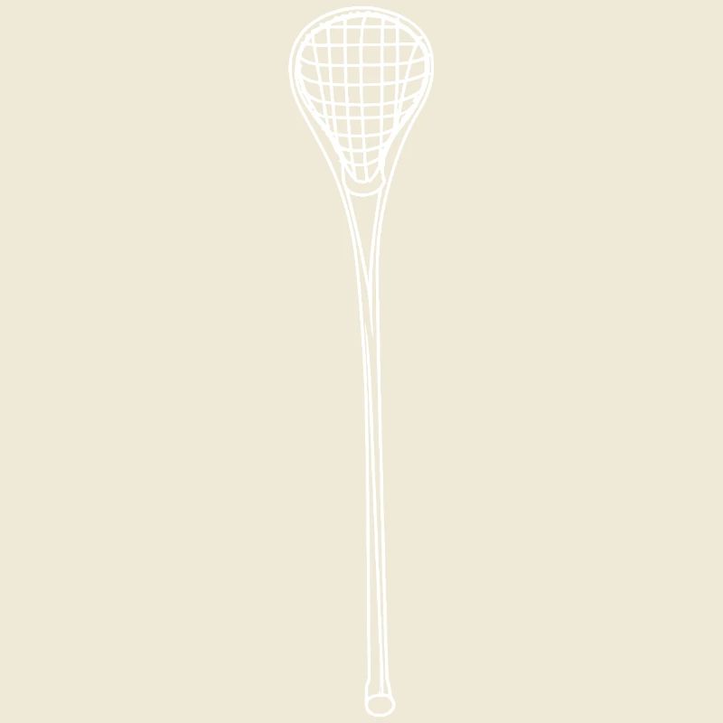 Lacrosse sticks