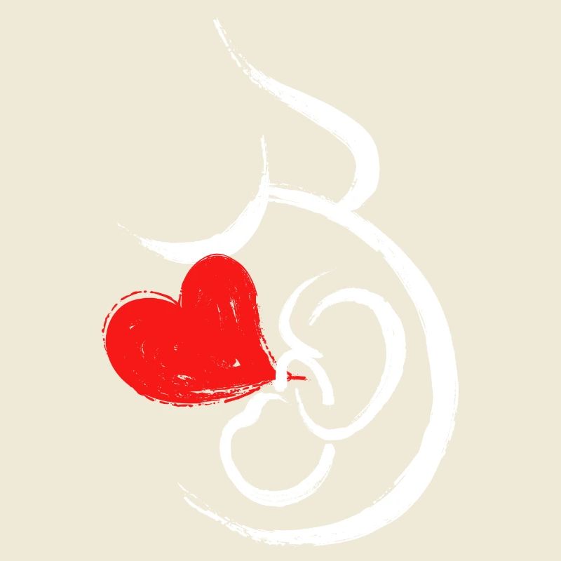 Grossesse Bébé Coeur Bébé Ventre Grossesse
