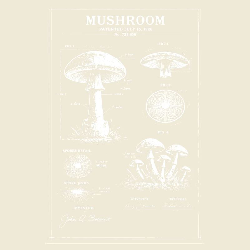 Art botanique de plans champignons