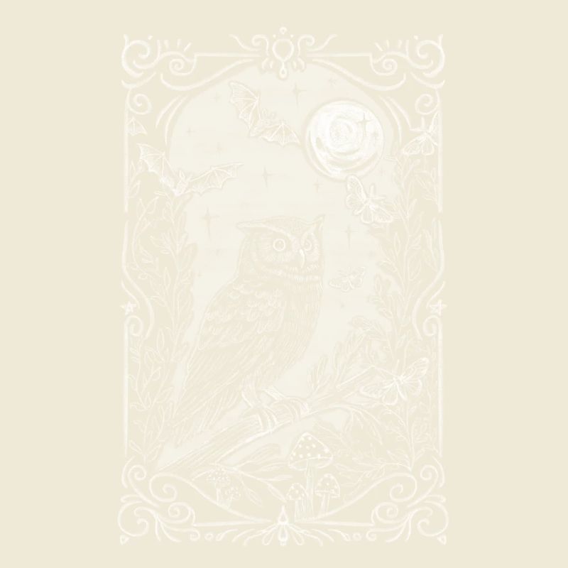 mystical owl in ornamental frame