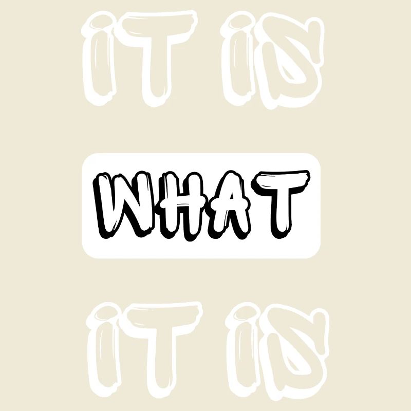 it is what it is