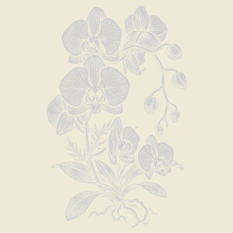 Orchidée Linework Silk Floral