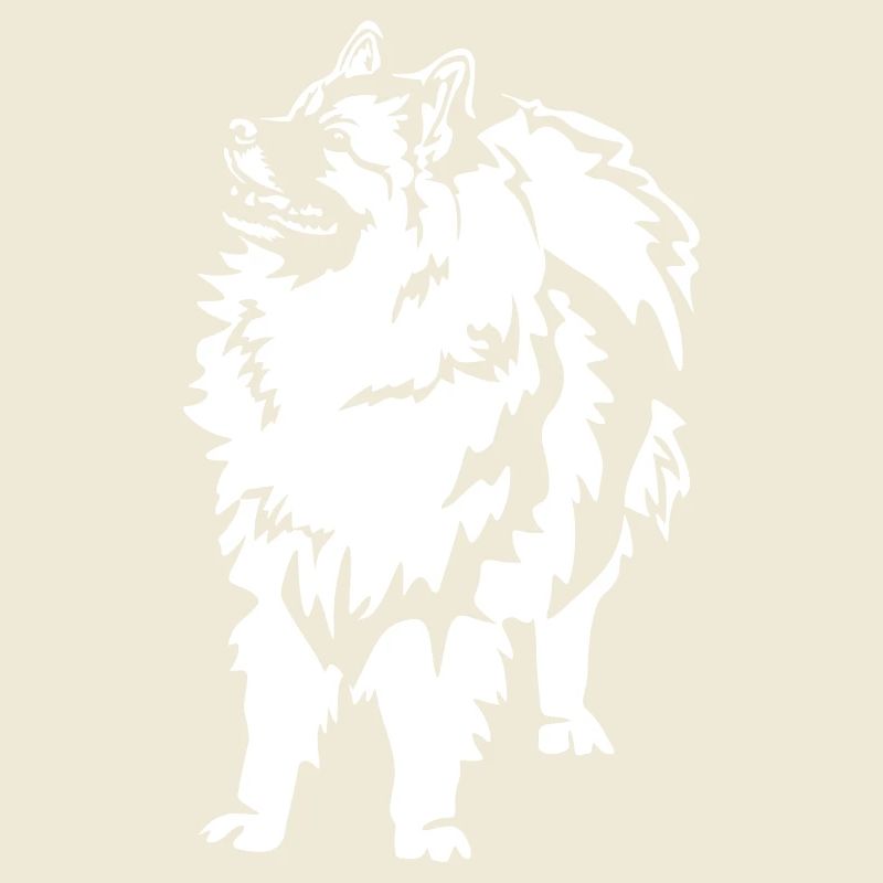 Wolfsspitz « Édition Noire »
