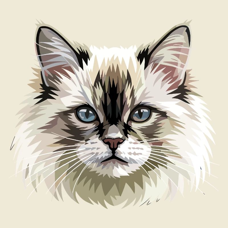 Chat Birman Chat Birman Sacré Chat Birman Mignons Chats Birman