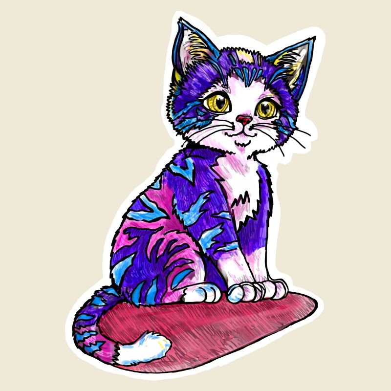 Petit chat à la fourrure violette