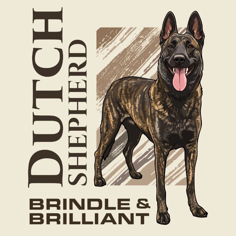 Dutch Shepherd - Dutchie 