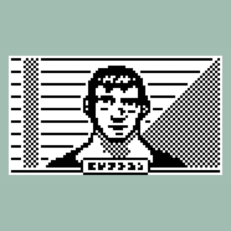 Portrait 8 bits