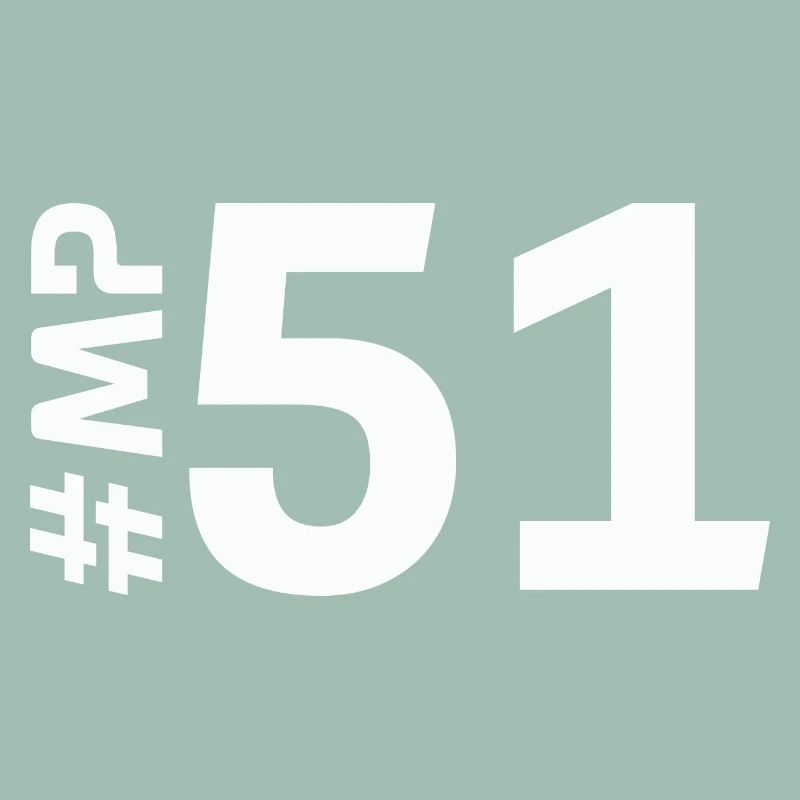 MP51-KARTON