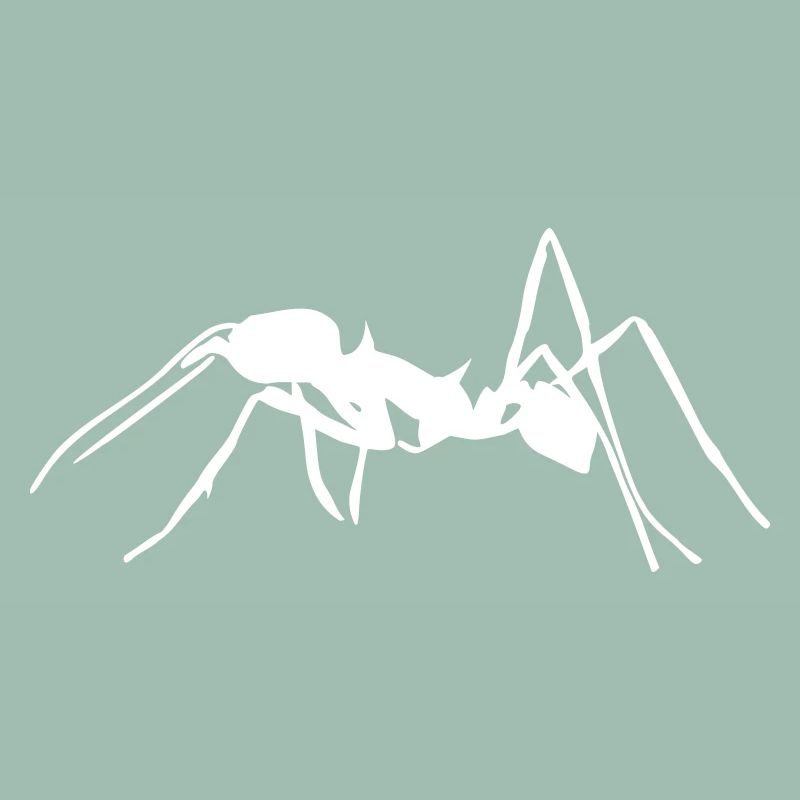Ant