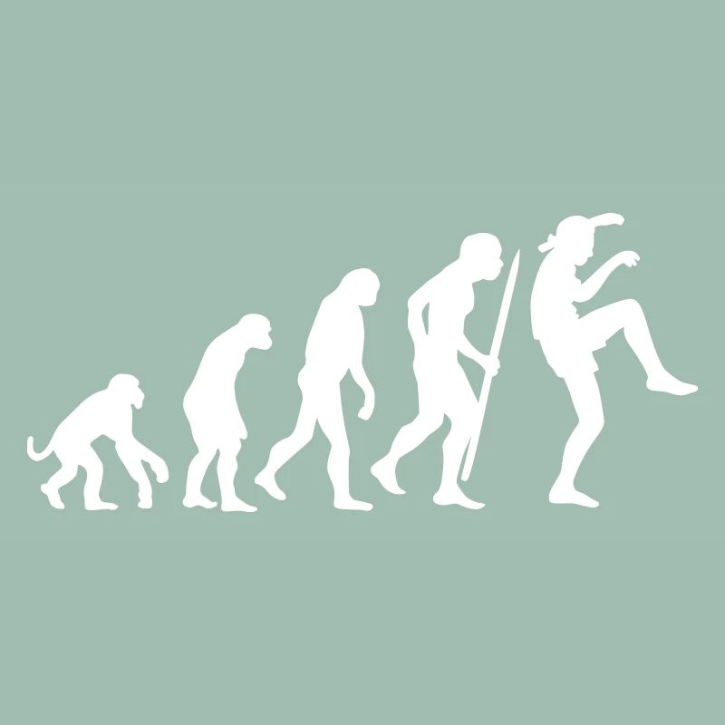 Funny Evolution Karate Vintage 80s Crane Kick