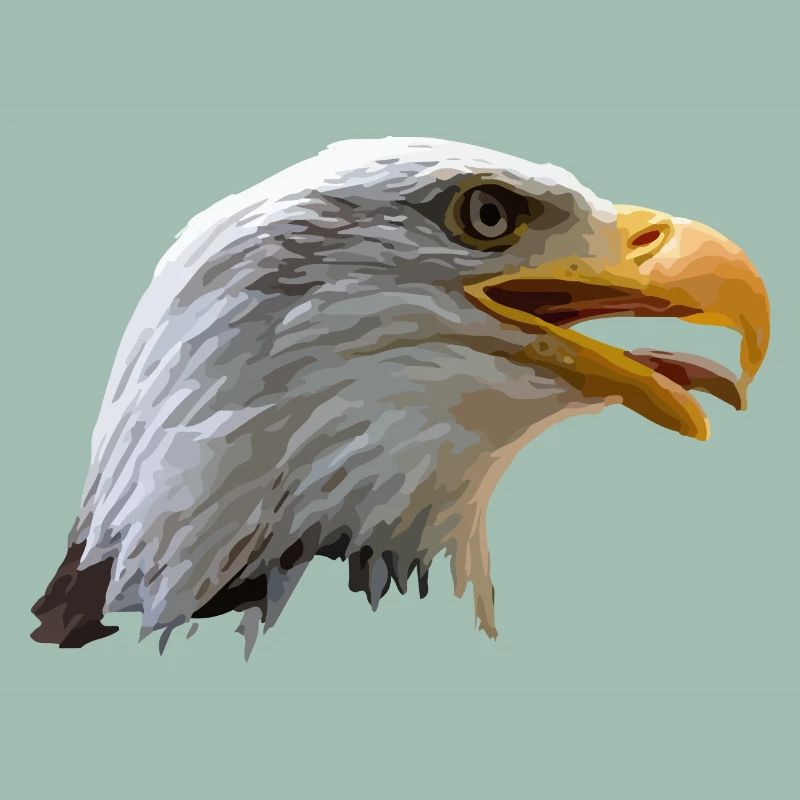 bald eagle