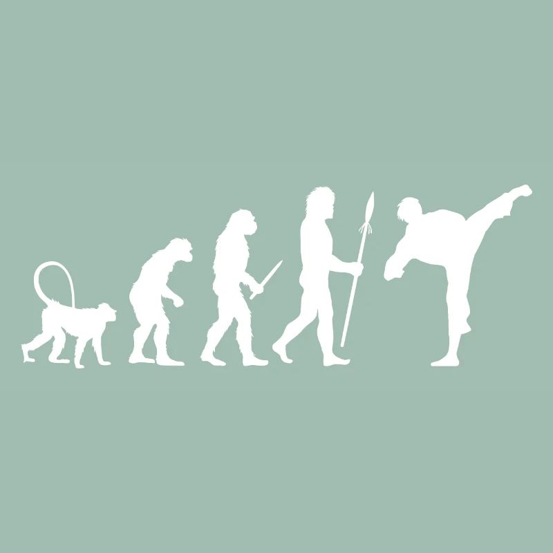 Évolution du karaté