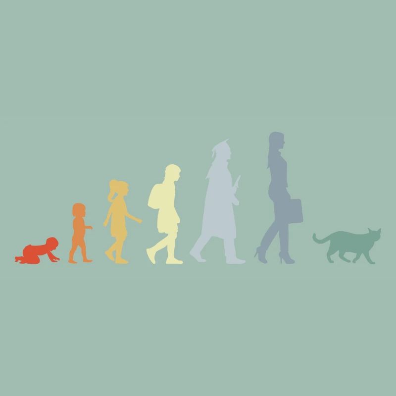 Evolution eines Katzenliebhabers