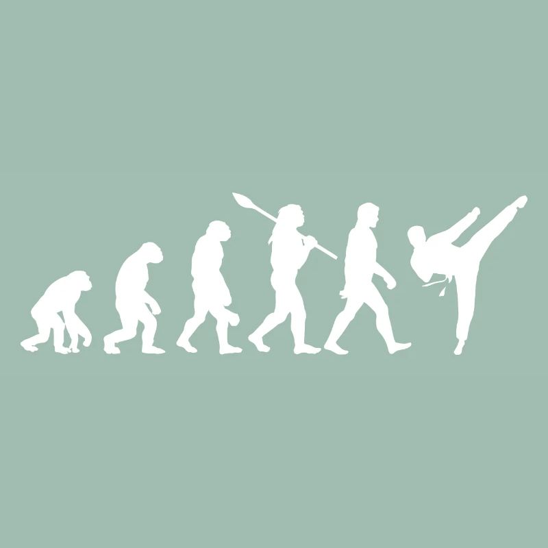 Évolution, Combat, Judo, Karate, MMA, Taekwondo