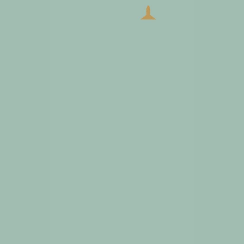 Flight Instructor Cfi Pilot Aviation Instructor