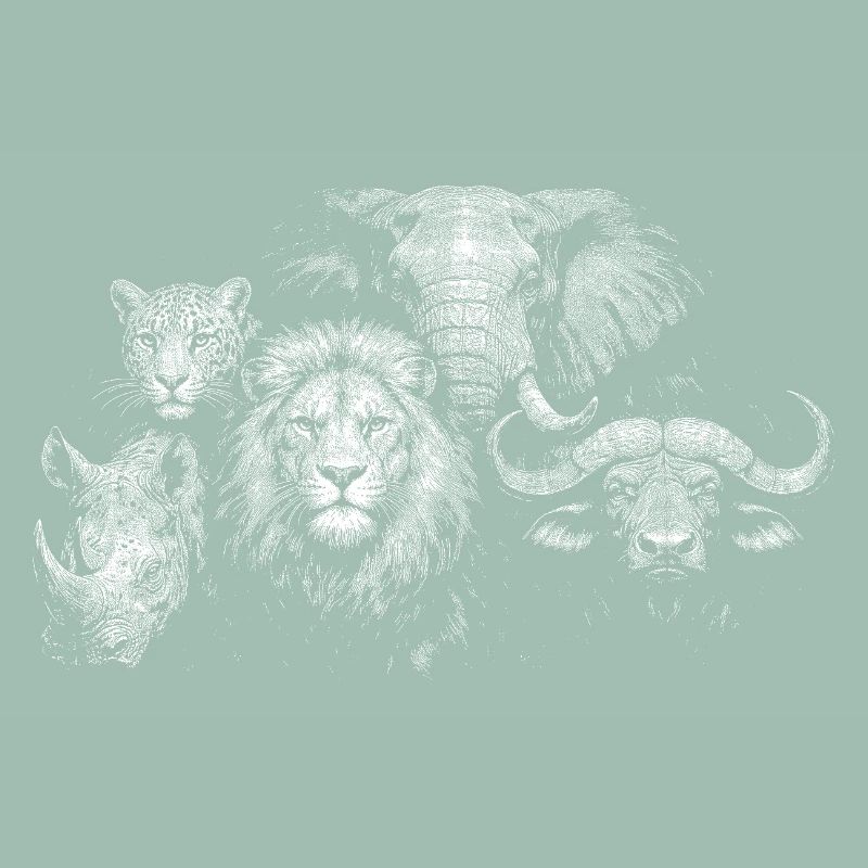 « Big Five »