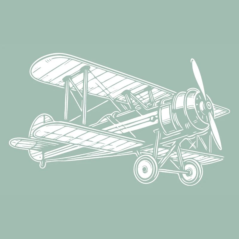 Biplane Oldtimer, Classic Airplane Design