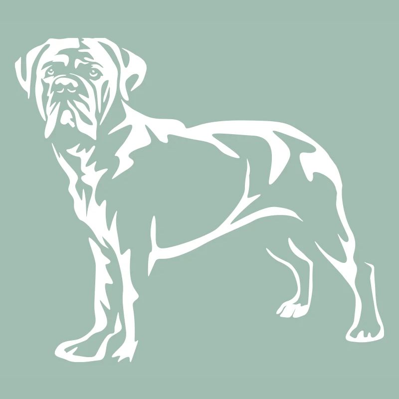Cane Corso « Black Edition »