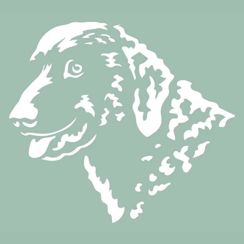 Curly-Coated Retriever Head "Black Edition"