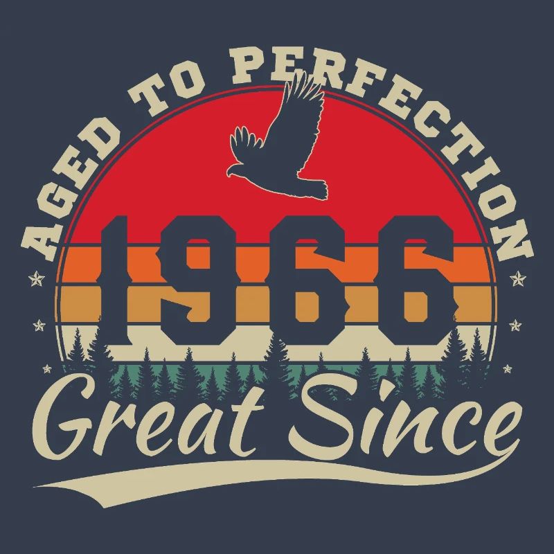 1966 Vintage Retro Geburtstagsgeschenk