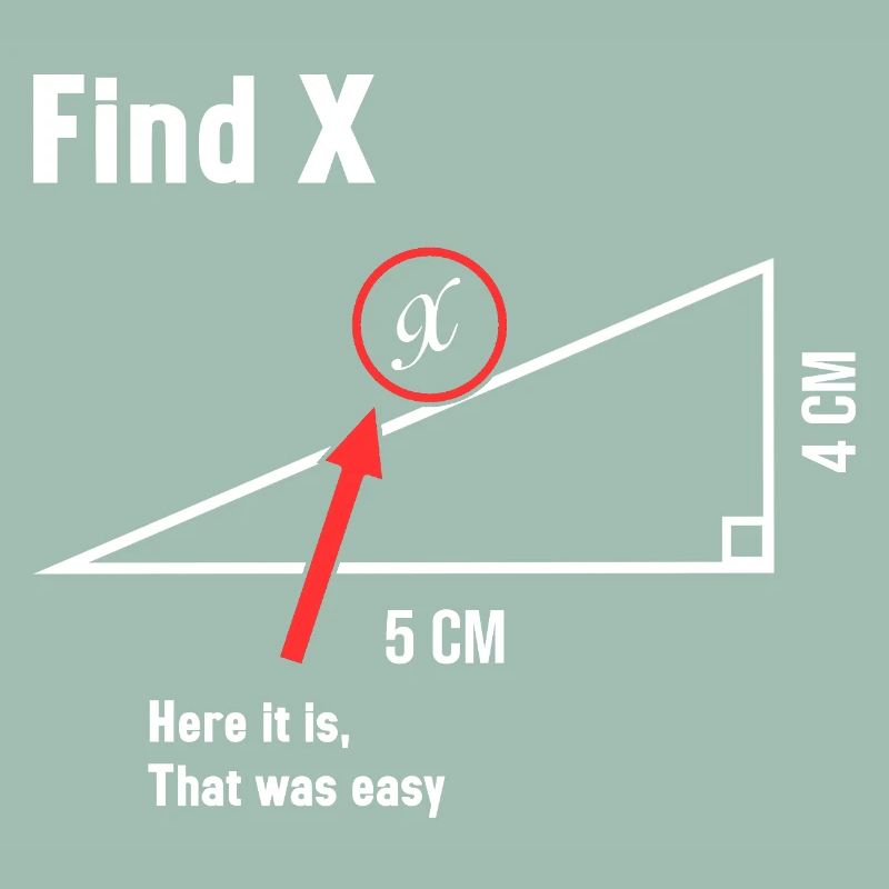 Find X Math Lover Mathematician Math Teacher