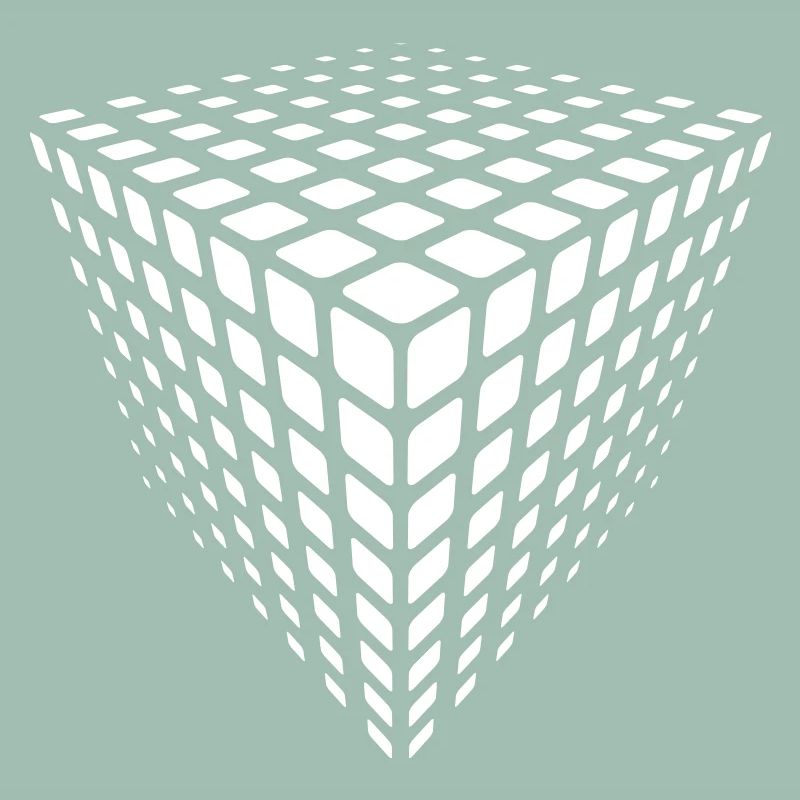 Monochrome Grid Cube Illusion